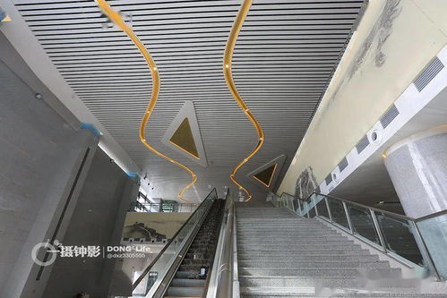 苍南高铁站充电桩销售现场纪实 机动车充电新趋势初现